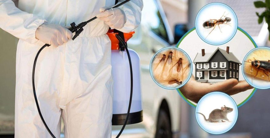 Balışeyh Böcek İlaçlama