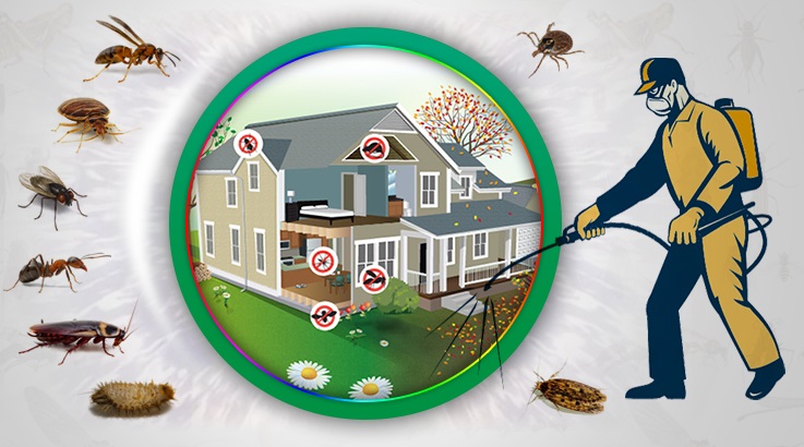 Balışeyh Böcek İlaçlama