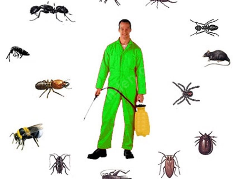 Balışeyh Böcek İlaçlama